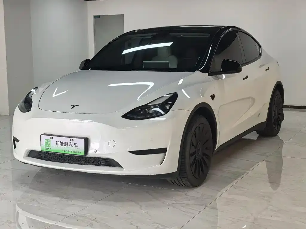 Tesla Model Y — фото 1