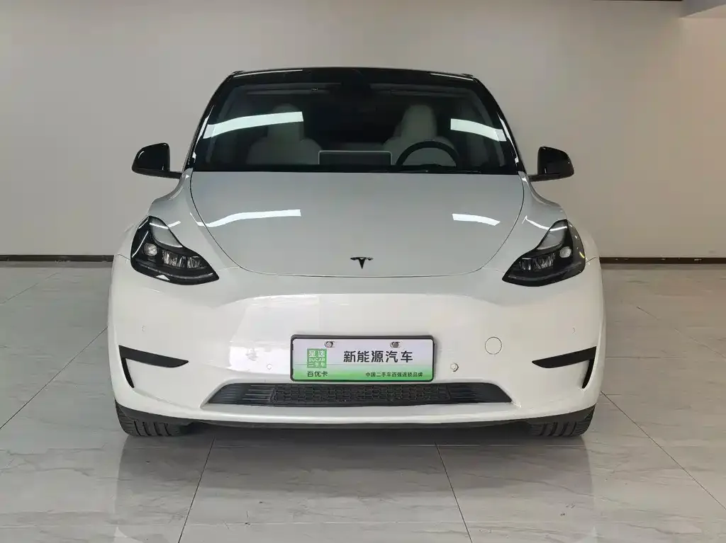 Tesla Model Y — фото 2