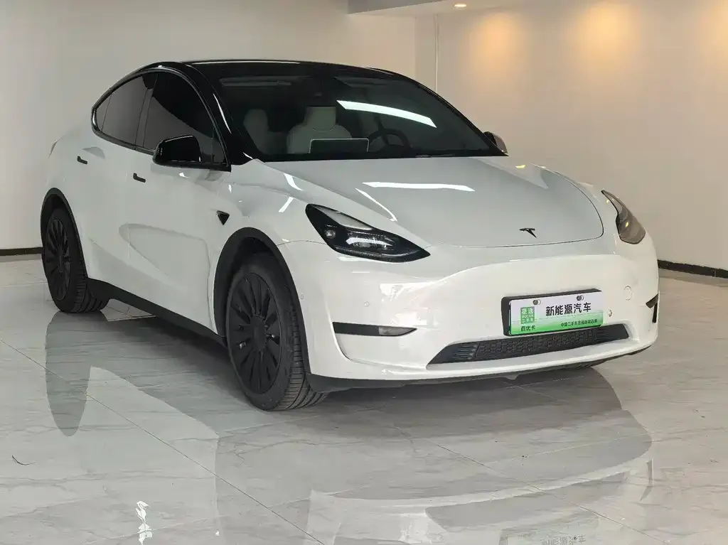 Tesla Model Y — фото 9