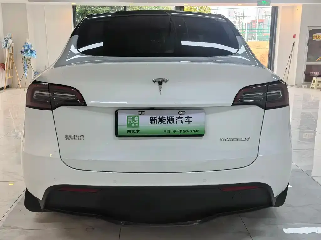 Tesla Model Y — фото 3