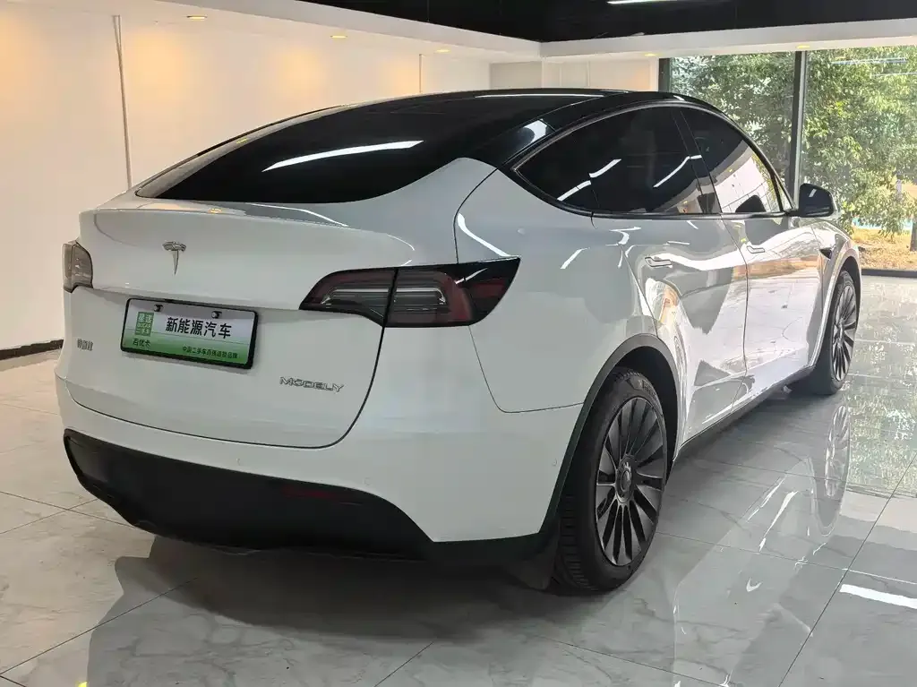 Tesla Model Y — фото 5