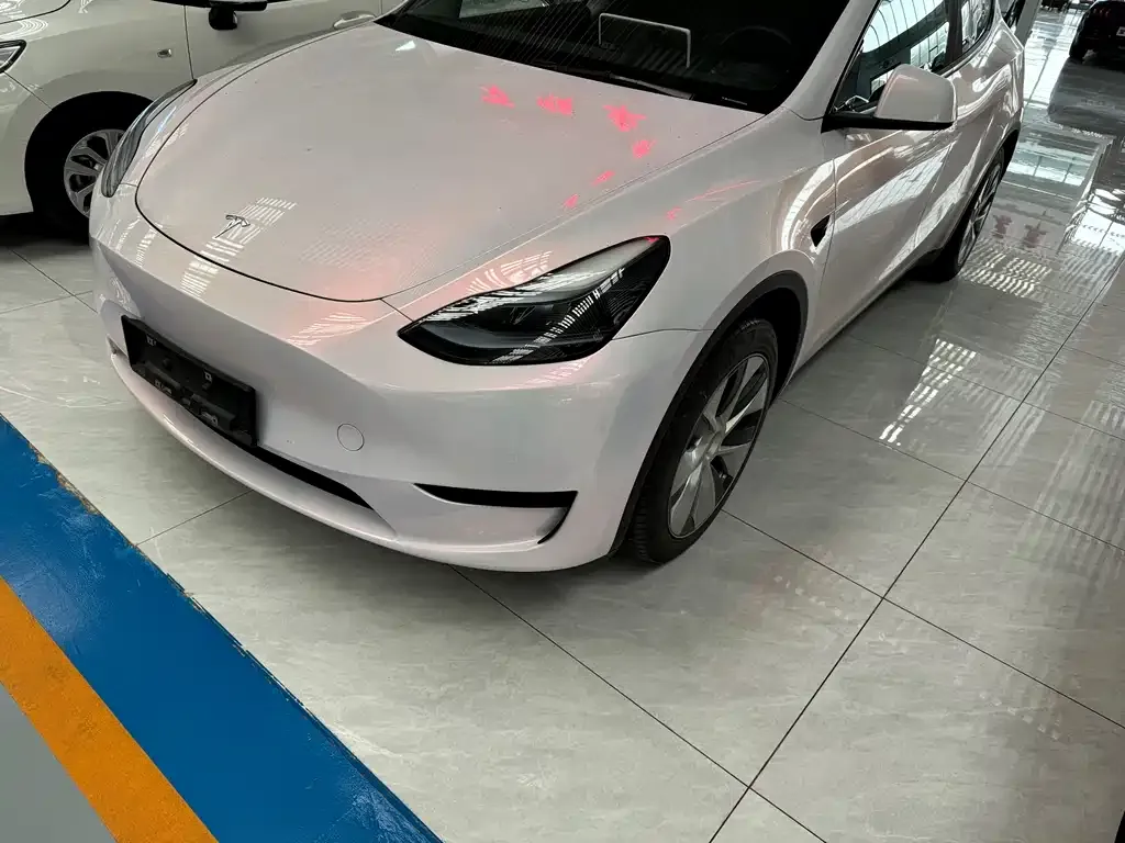 Tesla Model Y — фото 1
