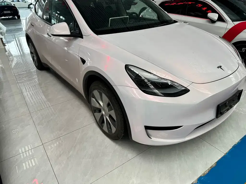 Tesla Model Y — фото 2