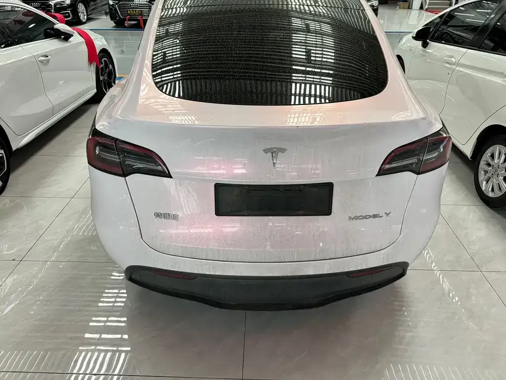 Tesla Model Y — фото 3