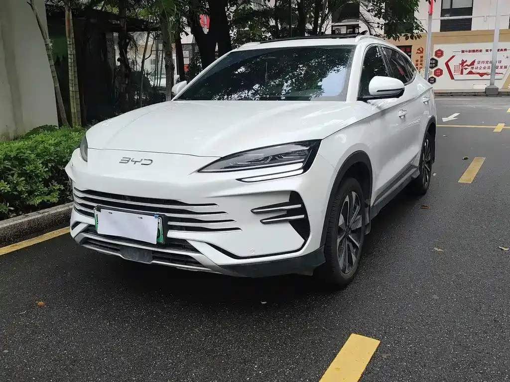 BYD PLUS New Energy 2025 из CN, фото 1