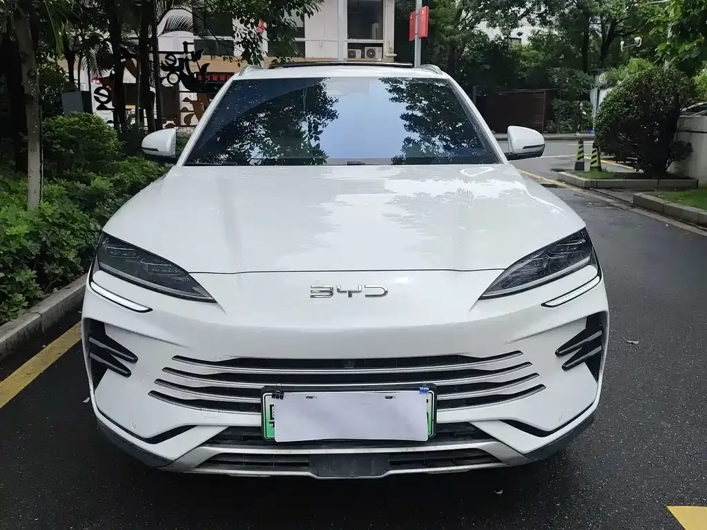 BYD PLUS New Energy 2025 из CN, фото 2