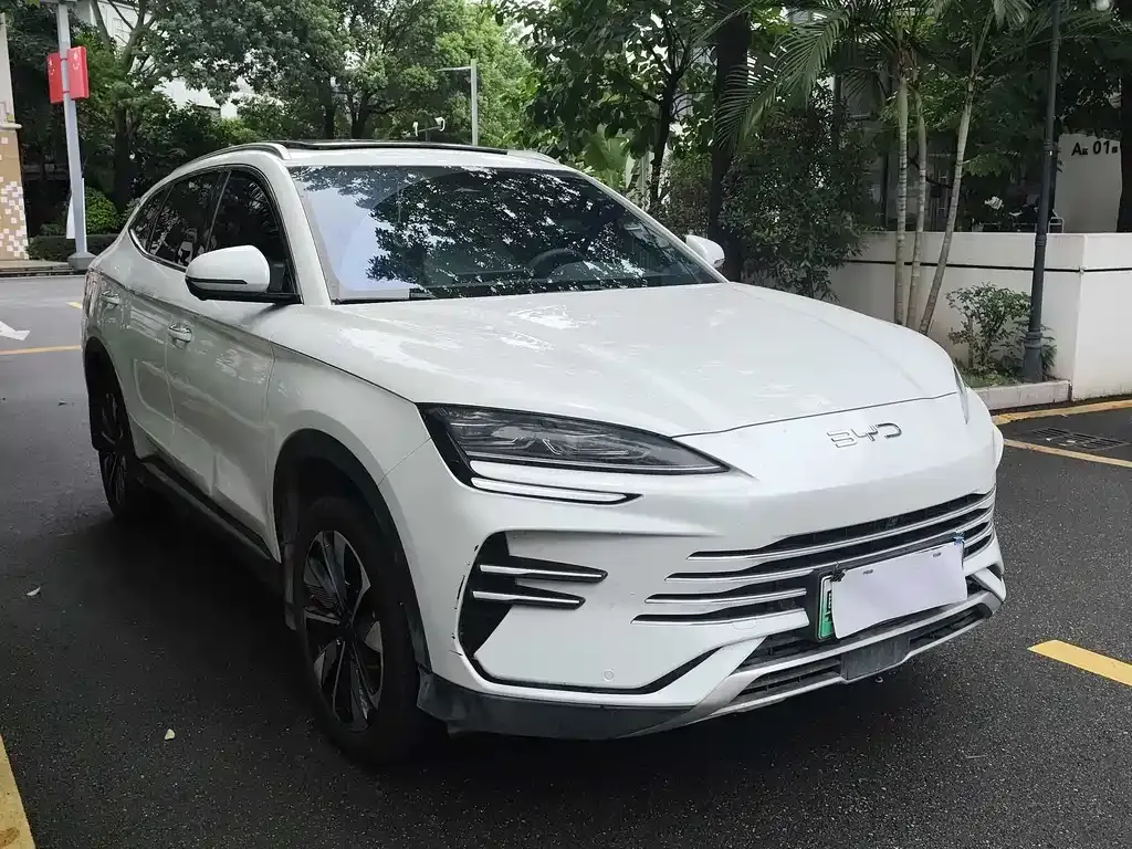 BYD PLUS New Energy 2025 из CN, фото 4