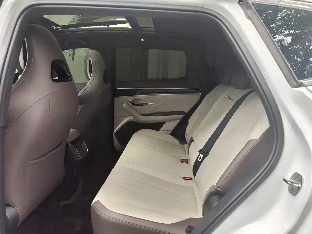 BYD PLUS New Energy 2025 из CN, фото 3