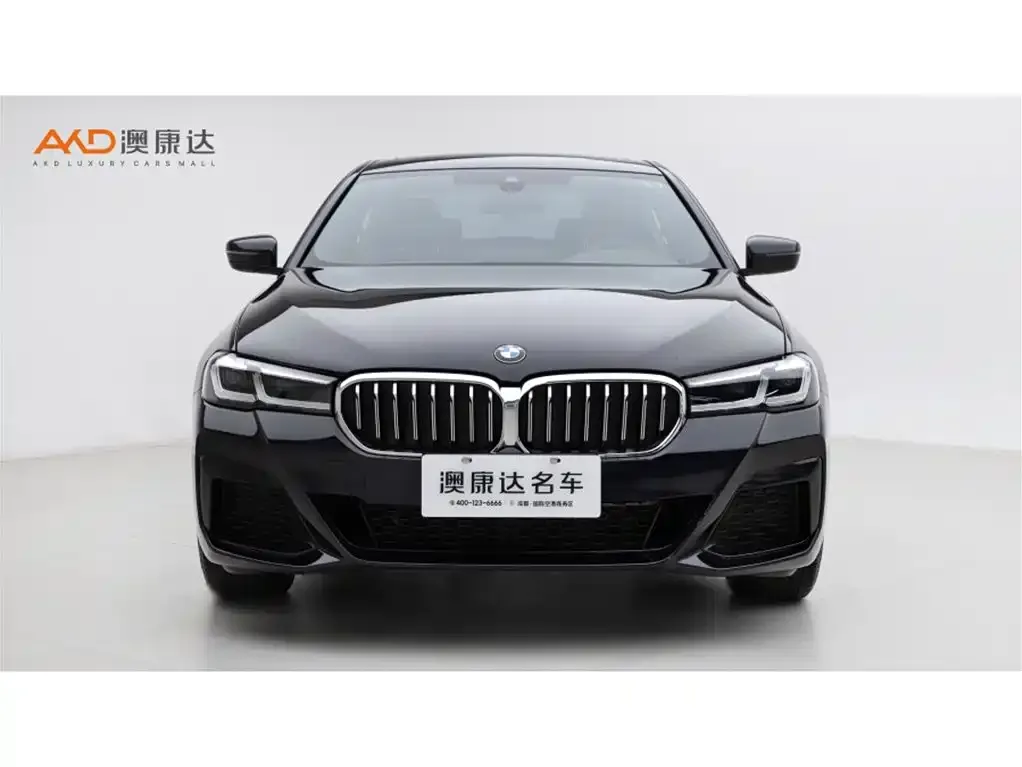 BMW 5 Series 2023 из CN, фото 10