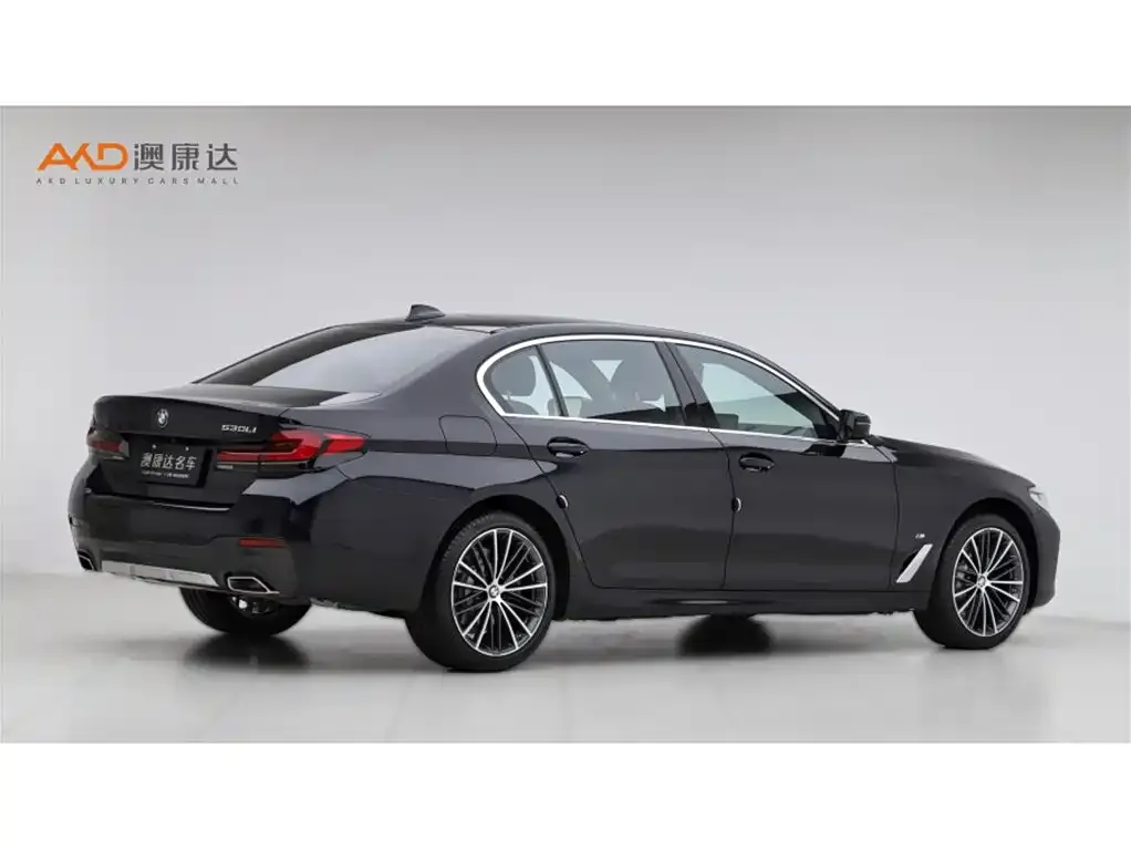 BMW 5 Series 2023 из CN, фото 6