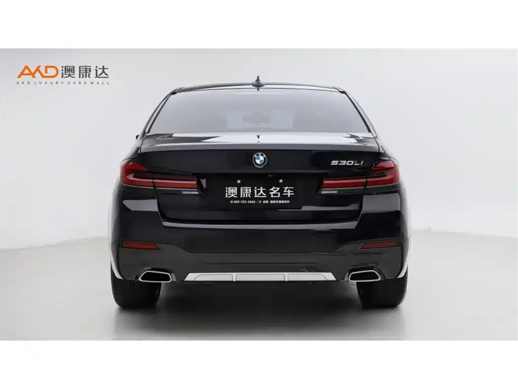 BMW 5 Series 2023 из CN, фото 4