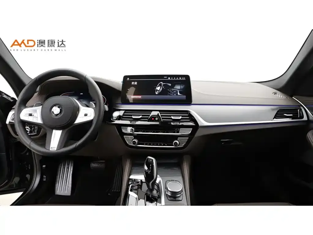 BMW 5 Series 2023 из CN, фото 5