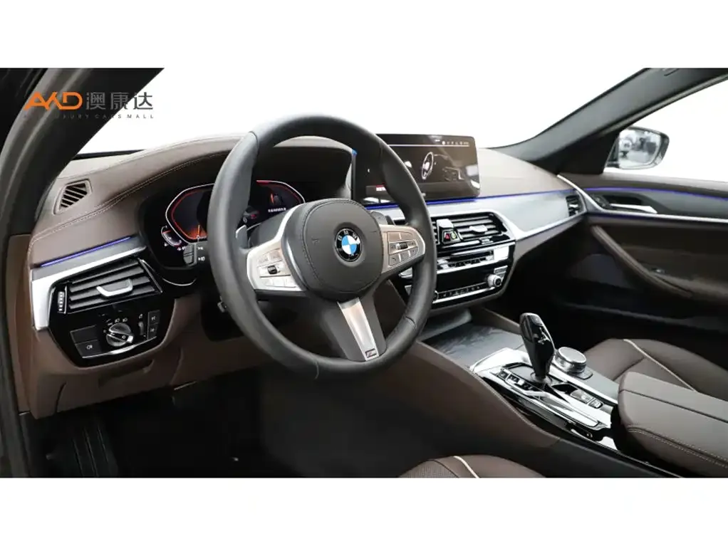 BMW 5 Series 2023 из CN, фото 8