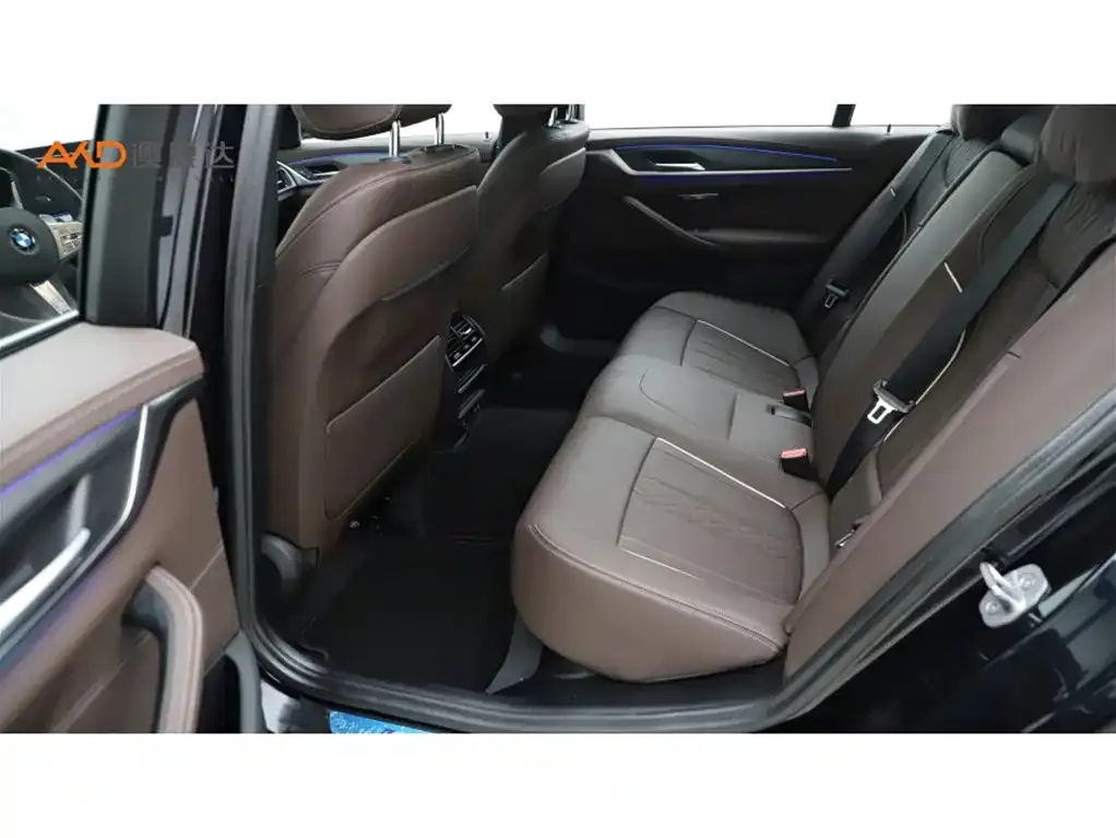 BMW 5 Series 2023 из CN, фото 3