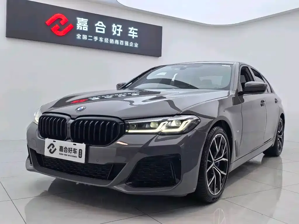 BMW 5 Series (Import) 2021 из CN, фото 1