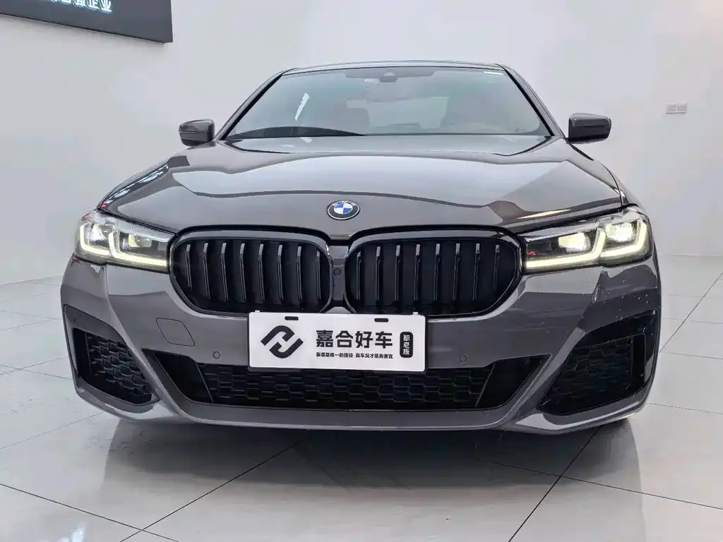 BMW 5 Series (Import) 2021 из CN, фото 3