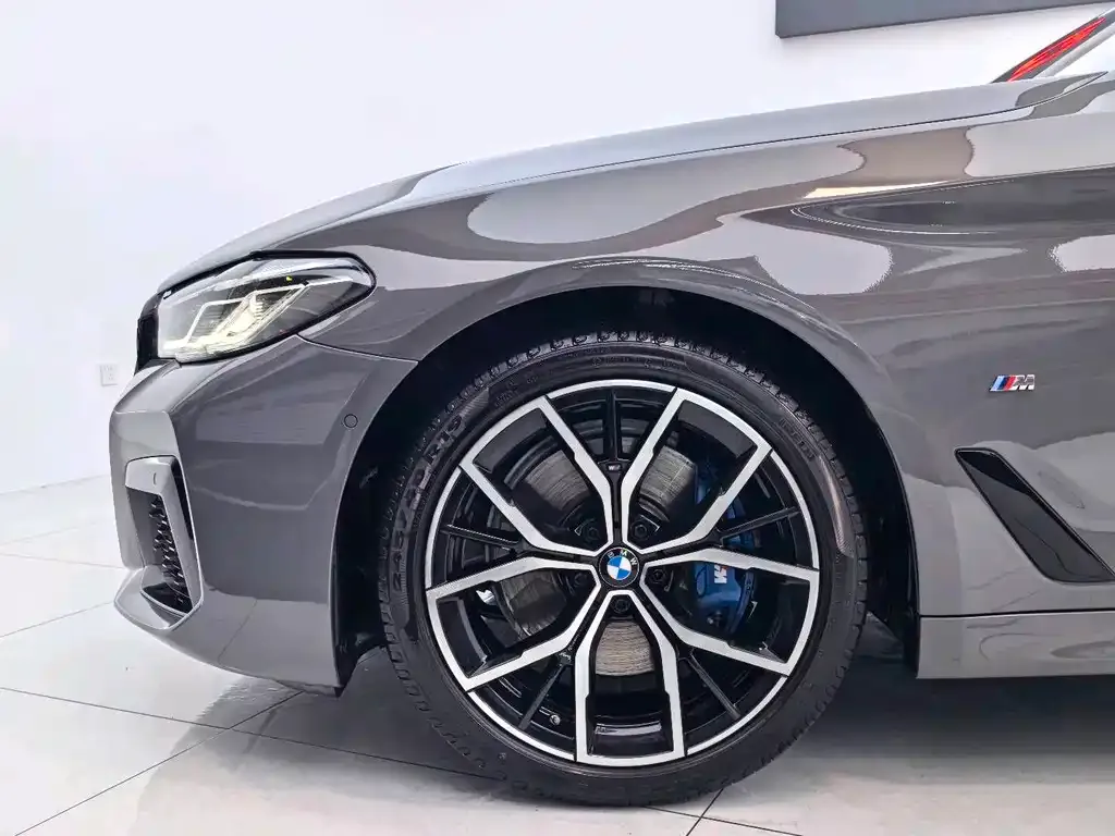 BMW 5 Series (Import) 2021 из CN, фото 10