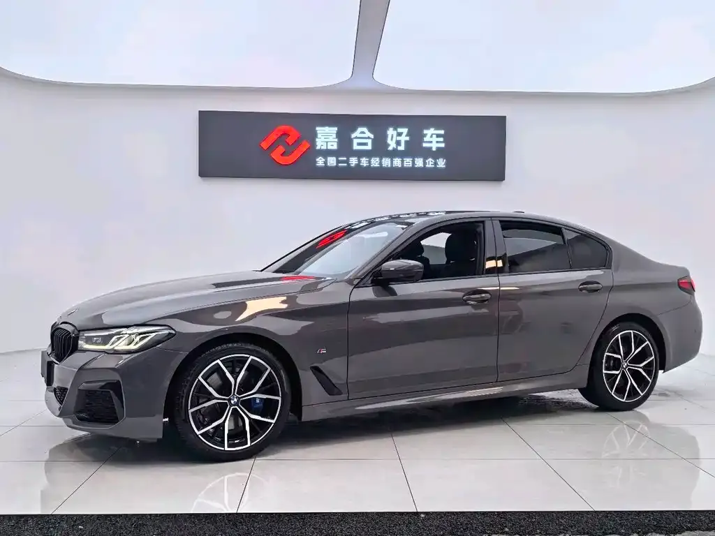 BMW 5 Series (Import) 2021 из CN, фото 2
