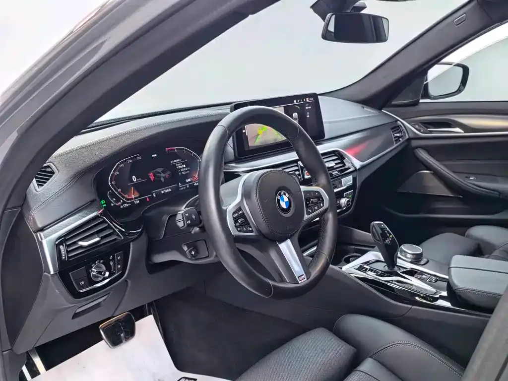 BMW 5 Series (Import) 2021 из CN, фото 5