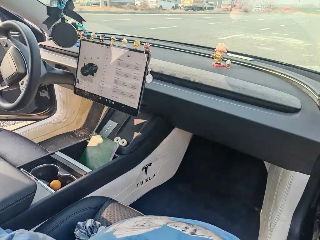 Tesla Model 3 2024 из CN, фото 5