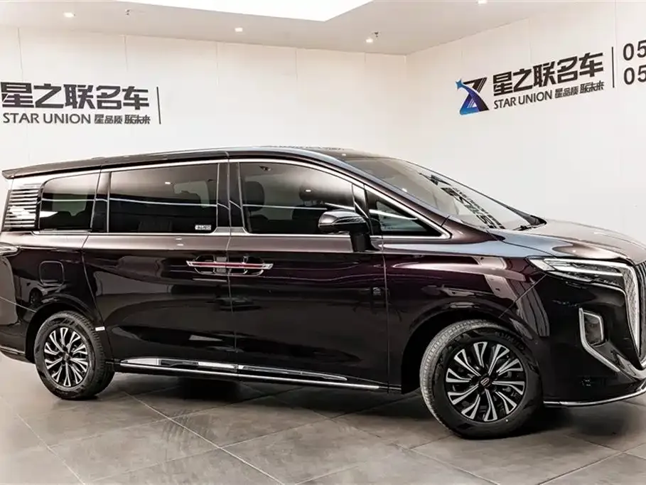 Hongqi HQ9 — фото 4
