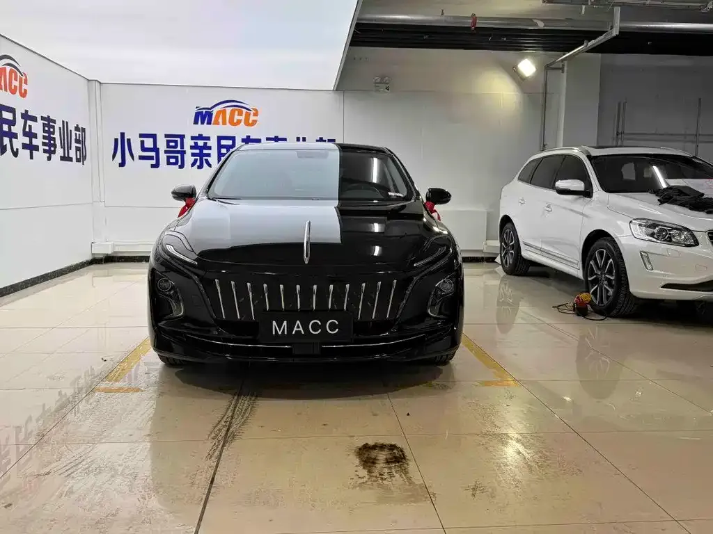 Hongqi E-QM5 2024 из CN, фото 1