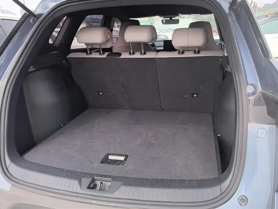BYD Pro New Energy 2024 из CN, фото 2