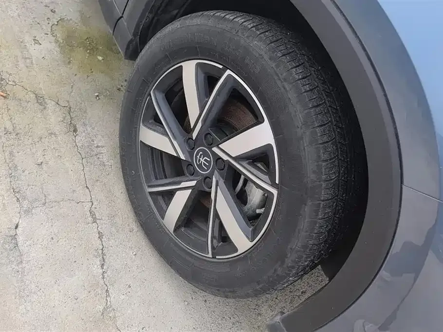 BYD Pro New Energy 2024 из CN, фото 10