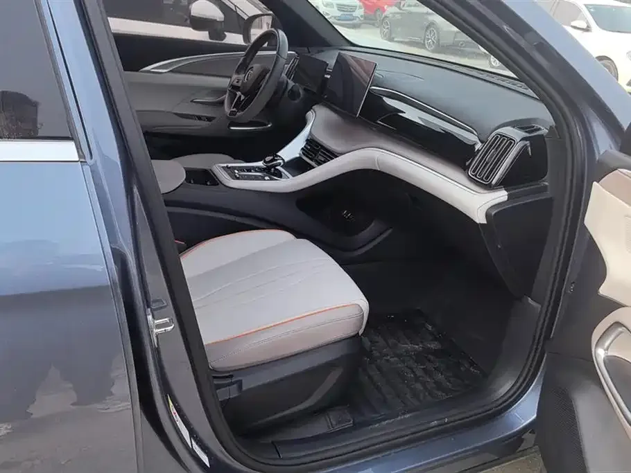 BYD Pro New Energy 2024 из CN, фото 8