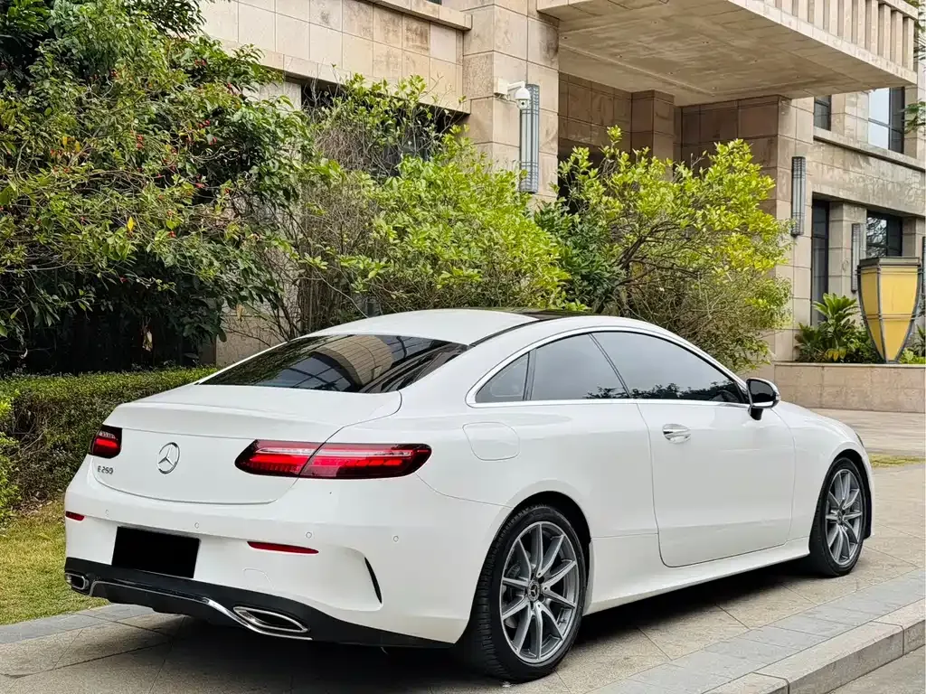 Mercedes-Benz E-Class (Import) 2021 из CN, фото 10