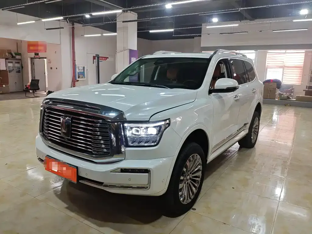 Tank 500 New Energy 2024 из CN, фото 1