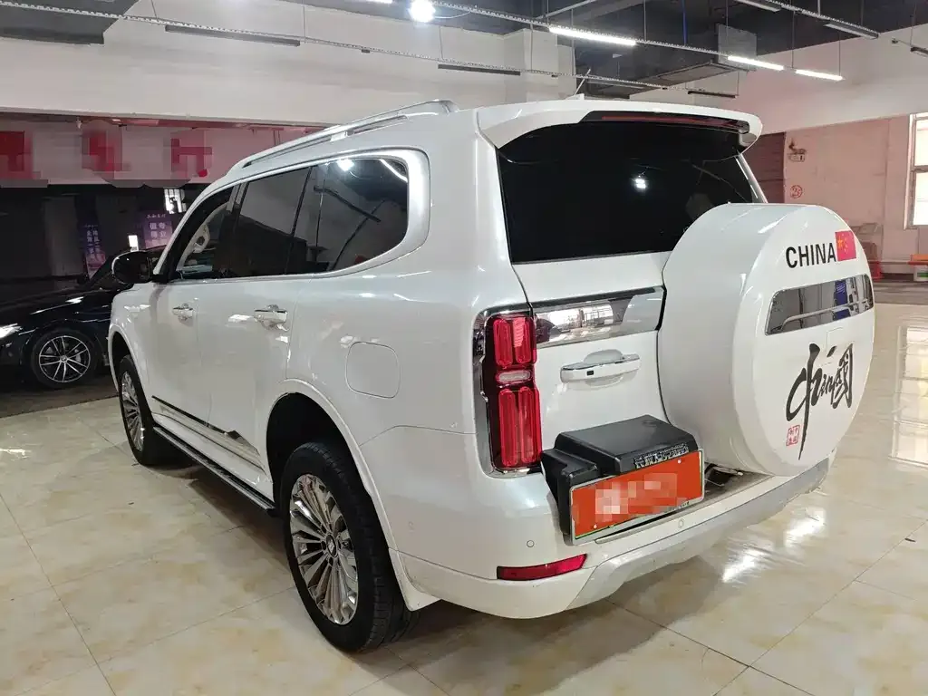 Tank 500 New Energy 2024 из CN, фото 2