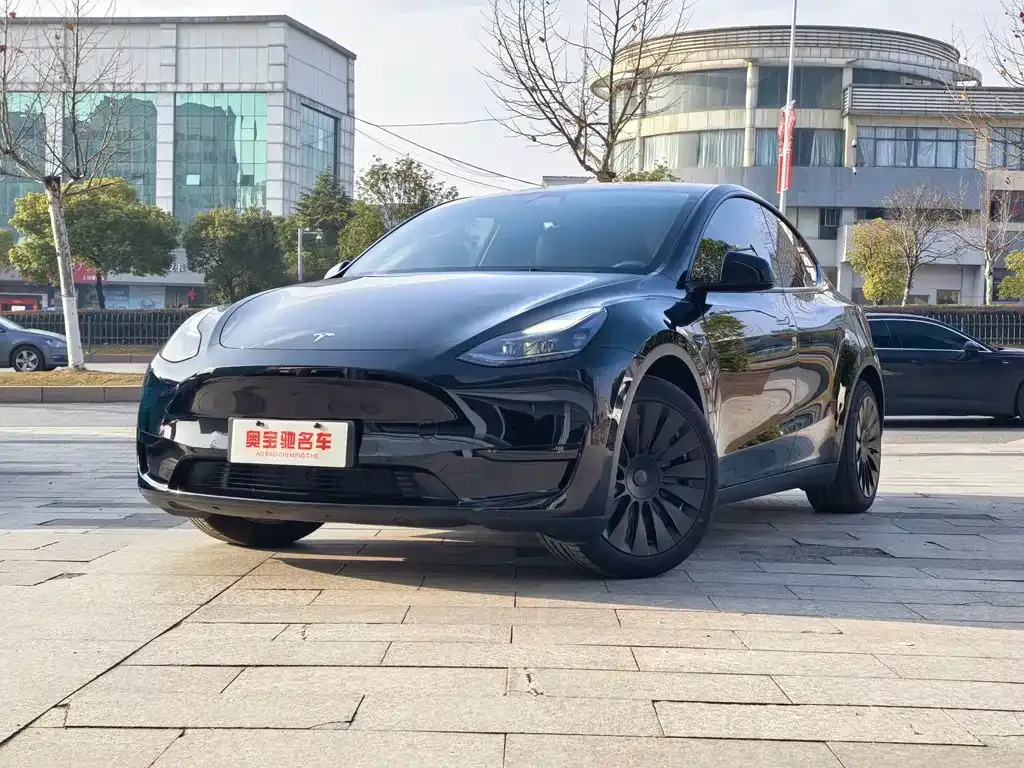 Tesla Model Y 2022 из CN, фото 1