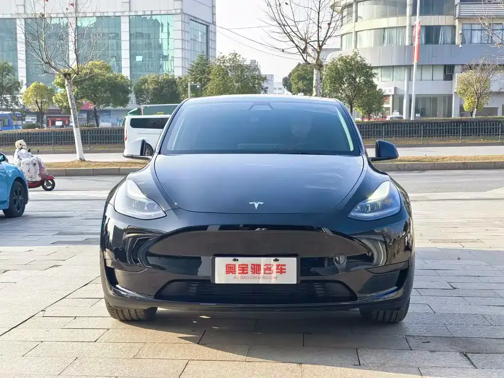 Tesla Model Y 2022 из CN, фото 9