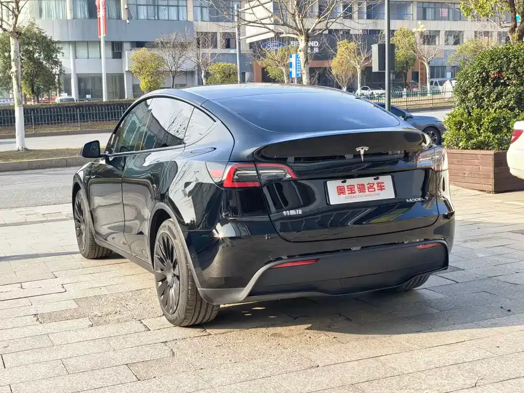 Tesla Model Y 2022 из CN, фото 4