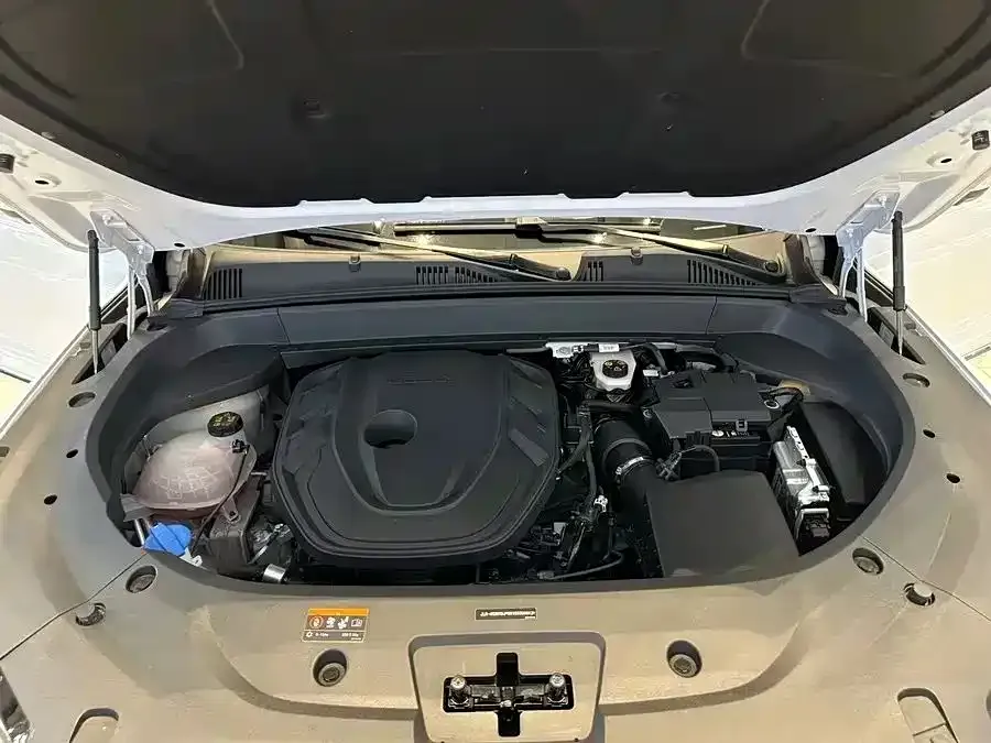Geely Xingyue L 2021 из CN, фото 4