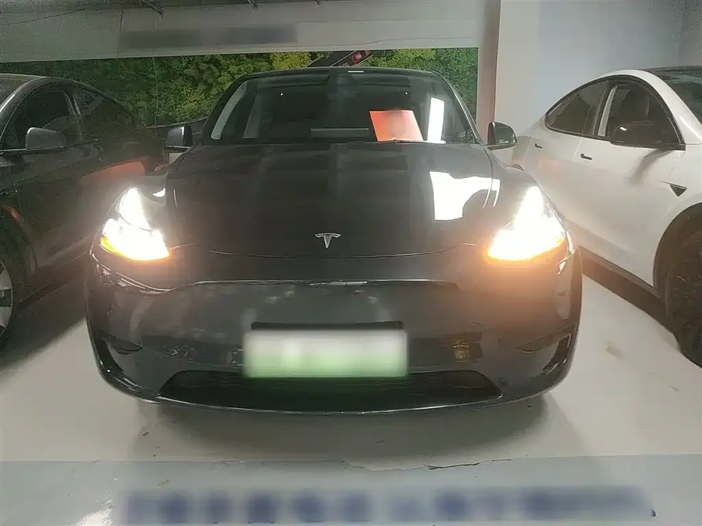 Tesla Model Y — фото 5