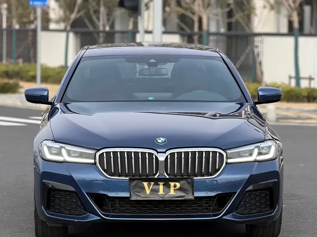 BMW 5 Series 2022 из CN, фото 10
