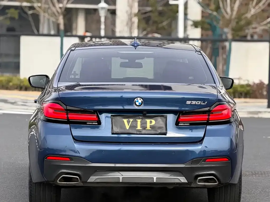 BMW 5 Series 2022 из CN, фото 7