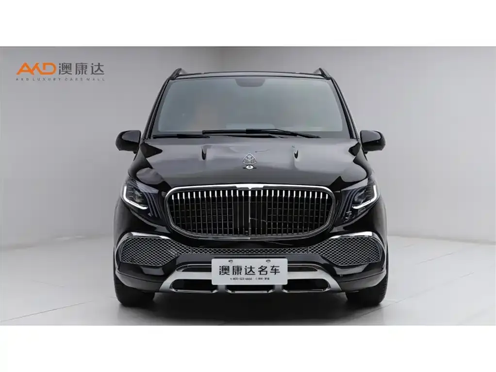 Mercedes-Benz Vito 2024 из CN, фото 2