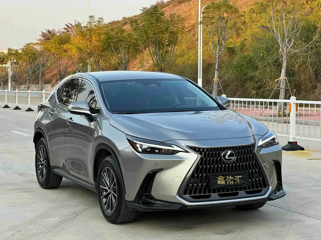 Lexus NX 2023 из CN, фото 1