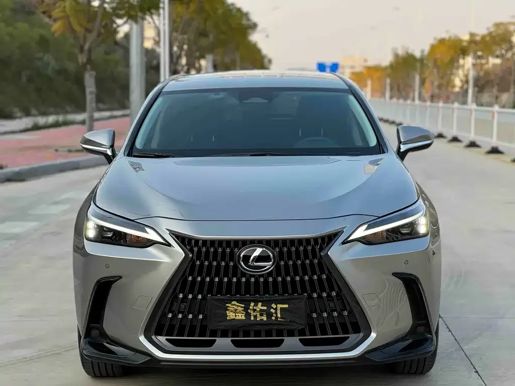 Lexus NX 2023 из CN, фото 2