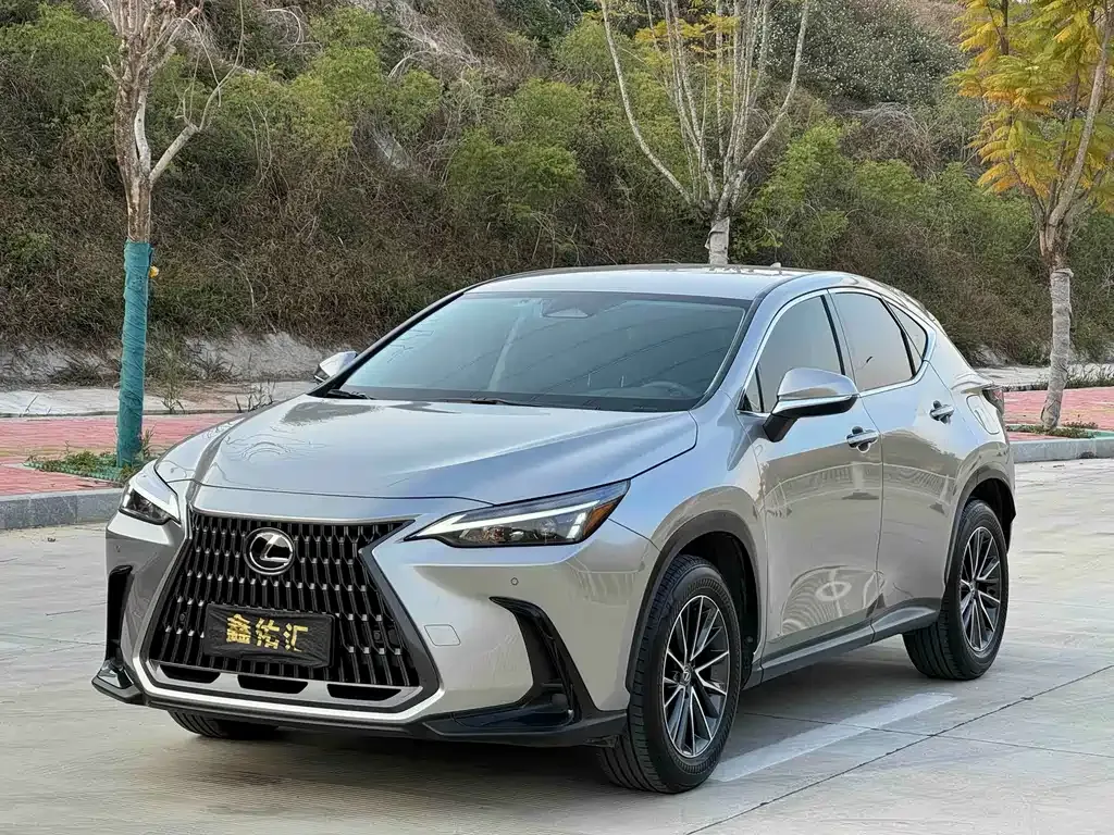 Lexus NX 2023 из CN, фото 7