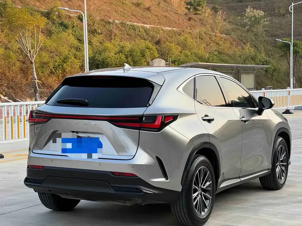 Lexus NX 2023 из CN, фото 9
