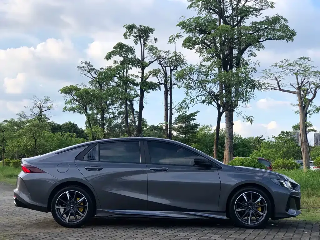 GAC Motor Shadow Leopard 2024 из CN, фото 4