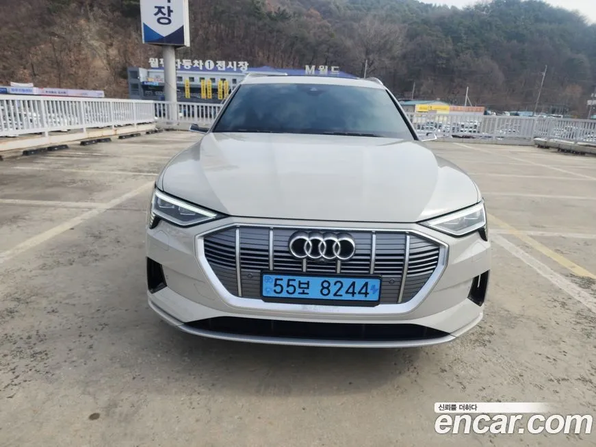 Audi e-tron 2022 из KR, фото 1