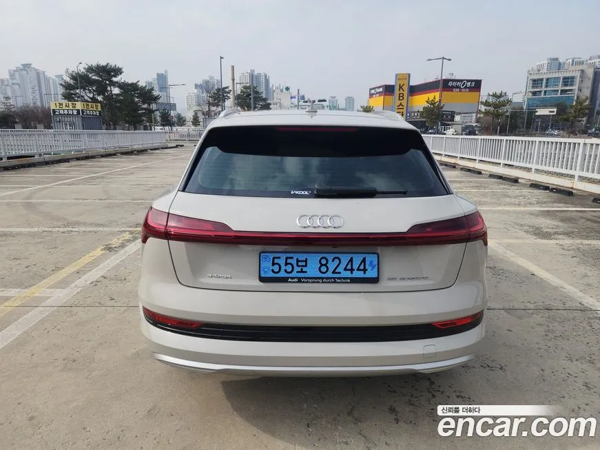 Audi e-tron 2022 из KR, фото 4