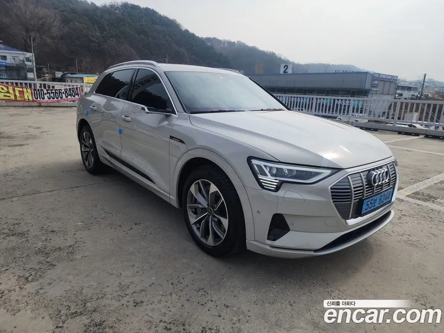 Audi e-tron 2022 из KR, фото 10