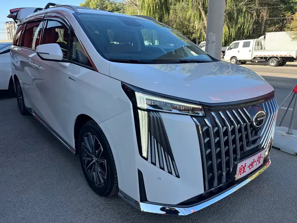 GAC Motor Trumpchi M8 2024 из CN, фото 6
