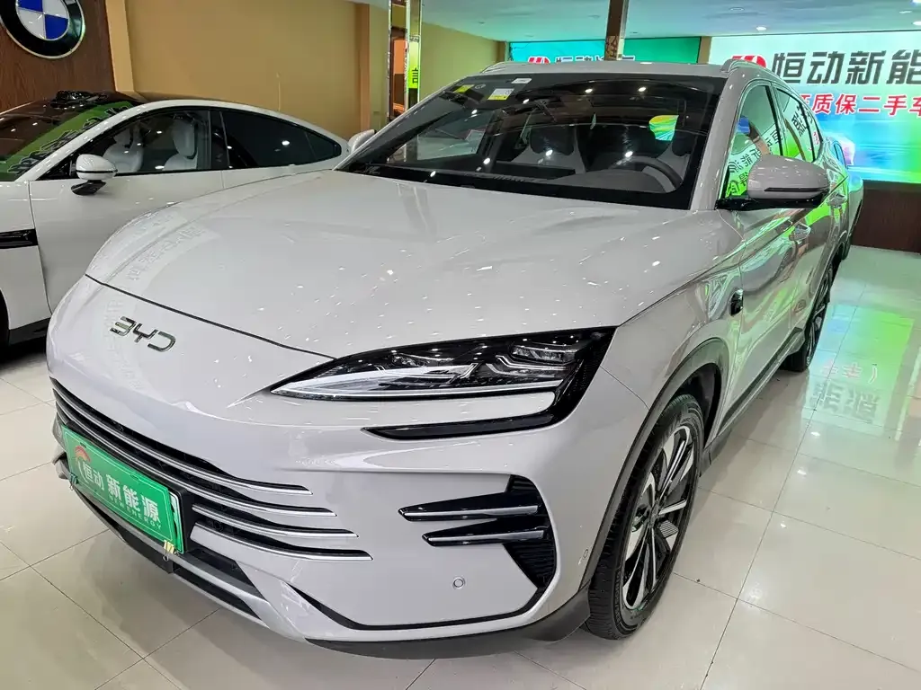 BYD PLUS New Energy 2025 из CN, фото 1